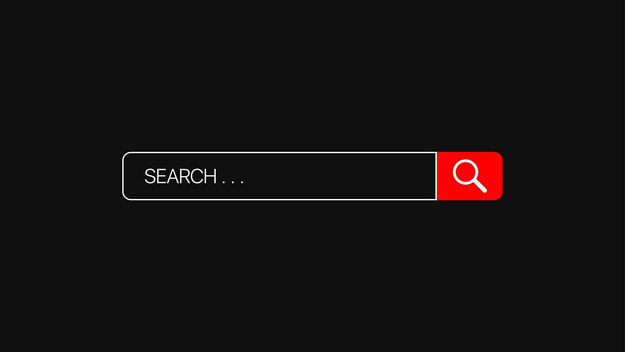 search bar