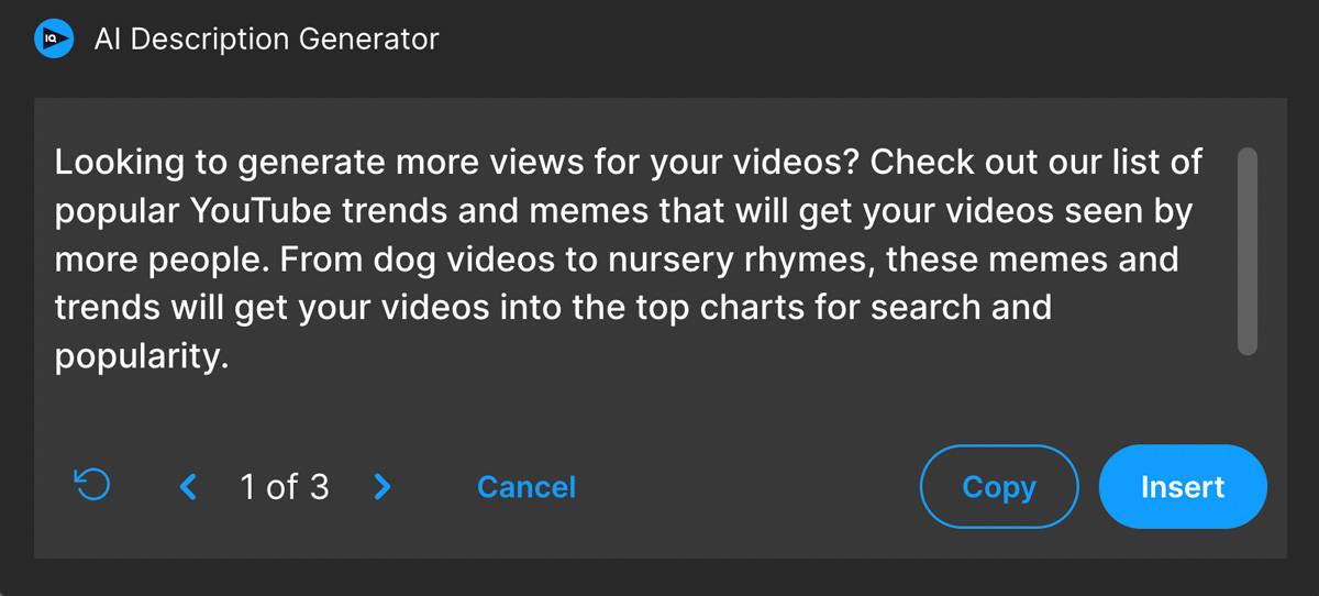 Example of a video description generated by the vidIQ description generator