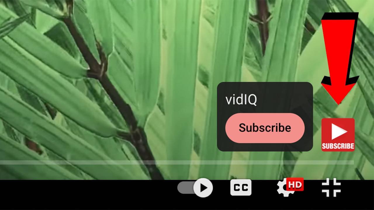 Red Youtube subscribe button in corner of video frame
