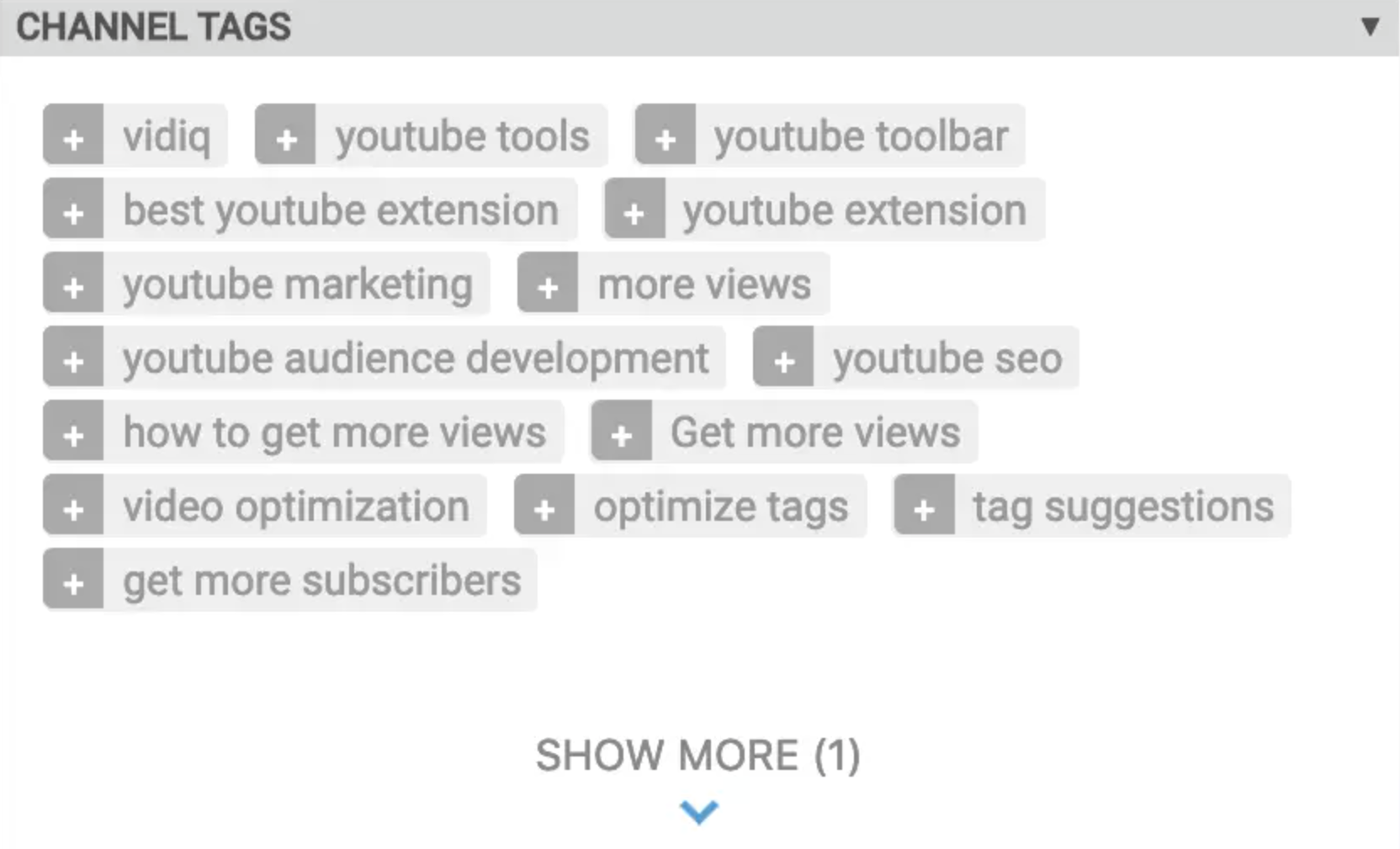 vidIQ tool - YouTube Channel Tags